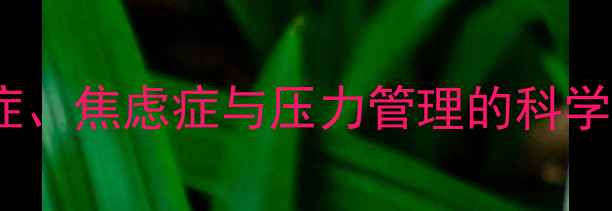 图片 心理健康科普指南：抑郁症、焦虑症与压力管理的科学应对（附免费测评工具）2