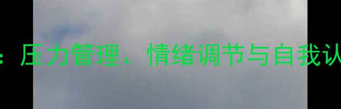 图片 心理健康要素：压力管理、情绪调节与自我认知的实践指南