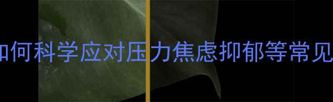 图片 心理健康辅导问题：如何科学应对压力焦虑抑郁等常见心理困扰？权威指南1