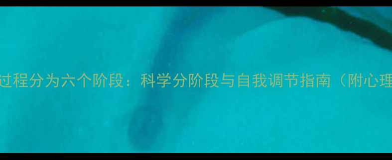 图片 心理健康过程分为六个阶段：科学分阶段与自我调节指南（附心理自测表）