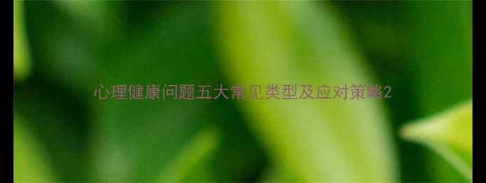 图片 心理健康问题五大常见类型及应对策略2