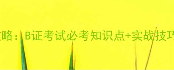 图片 心理咨询师证面试全攻略：B证考试必考知识点+实战技巧+高频问题（附真题）