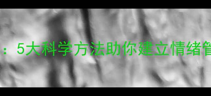 图片 成年人心理健康维护指南：5大科学方法助你建立情绪管理体系（附实操案例）2