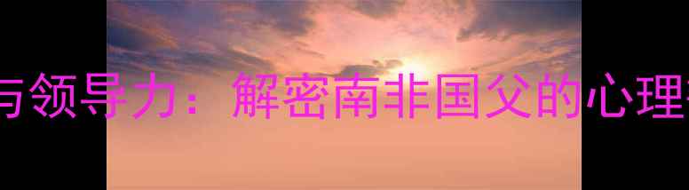 图片 曼德拉心理健康与领导力：解密南非国父的心理韧性及抗压能力1