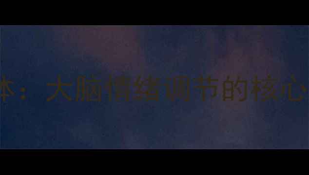 图片 杏仁体：大脑情绪调节的核心枢纽1