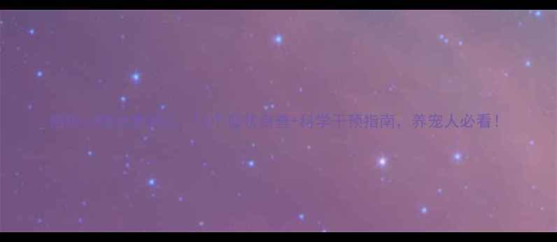 图片 猫咪心理健康测试：10个症状自查+科学干预指南，养宠人必看！