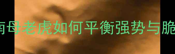 图片 职场女性心理健康指南母老虎如何平衡强势与脆弱？压力管理全攻略2