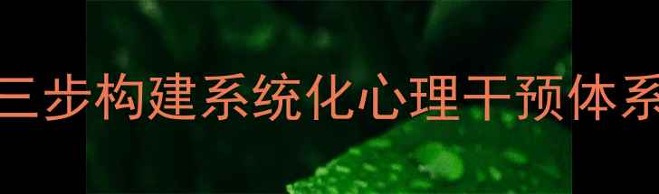 图片 警队心理健康辅导实战指南：三步构建系统化心理干预体系，五项创新机制提升工作效能