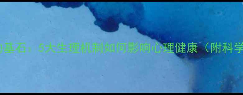 图片 身体是心灵的基石：5大生理机制如何影响心理健康（附科学改善指南）1