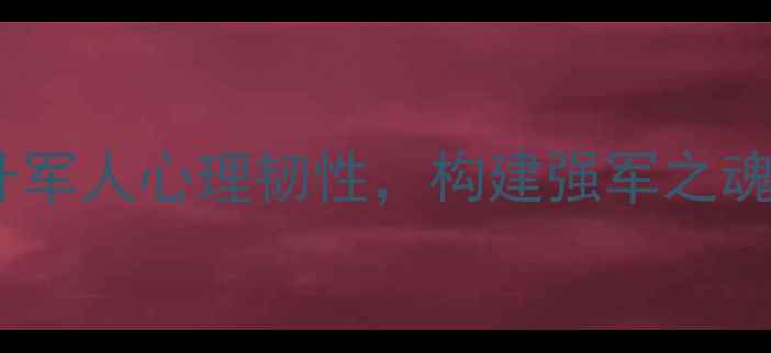 图片 部队心理健康培训：提升军人心理韧性，构建强军之魂的实践路径与案例分析1