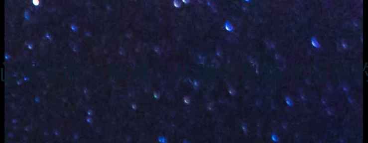 图片 钱铭怡变态心理学前沿解读：从理论到临床应用的系统性指南