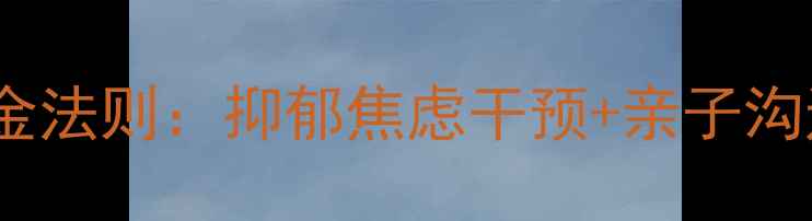 图片 青少年心理健康5大黄金法则：抑郁焦虑干预+亲子沟通+情绪管理实操指南2