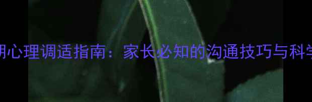 图片 青春叛逆期心理调适指南：家长必知的沟通技巧与科学应对策略