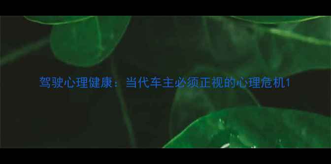 图片 驾驶心理健康：当代车主必须正视的心理危机1