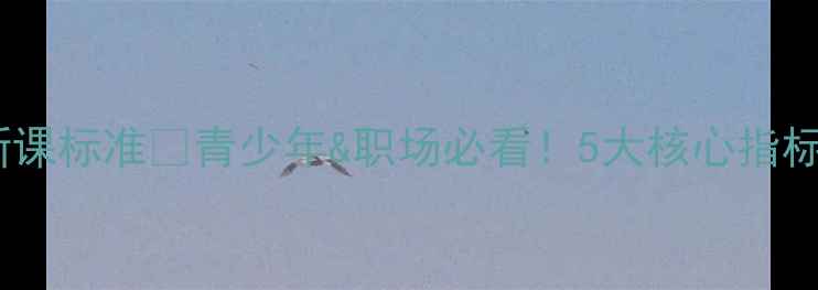 图片 🌟心理健康新课标准✨青少年&职场必看！5大核心指标+实操指南🌟