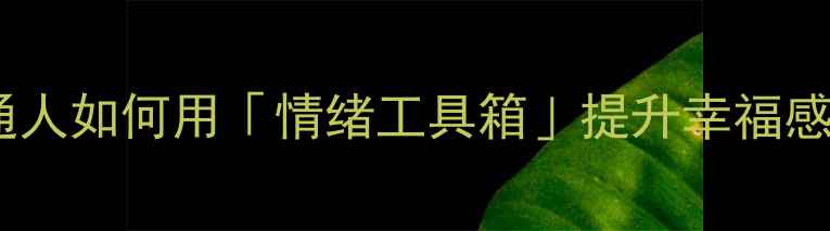 图片 🌟心理健康设计｜普通人如何用「情绪工具箱」提升幸福感？附30天实操指南🌟1