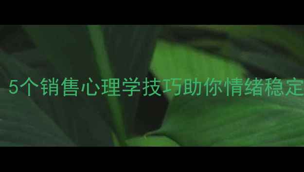 图片 🔥心理健康必看！5个销售心理学技巧助你情绪稳定（附实操指南）2