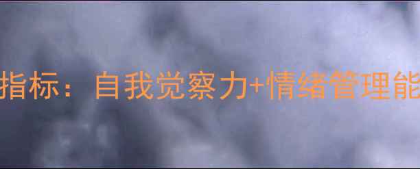 图片 🔥心理健康的关键指标：自我觉察力+情绪管理能力=幸福人生指南1