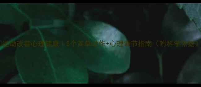 图片 🔥运动改善心理健康｜5个简单动作+心理调节指南（附科学依据）2